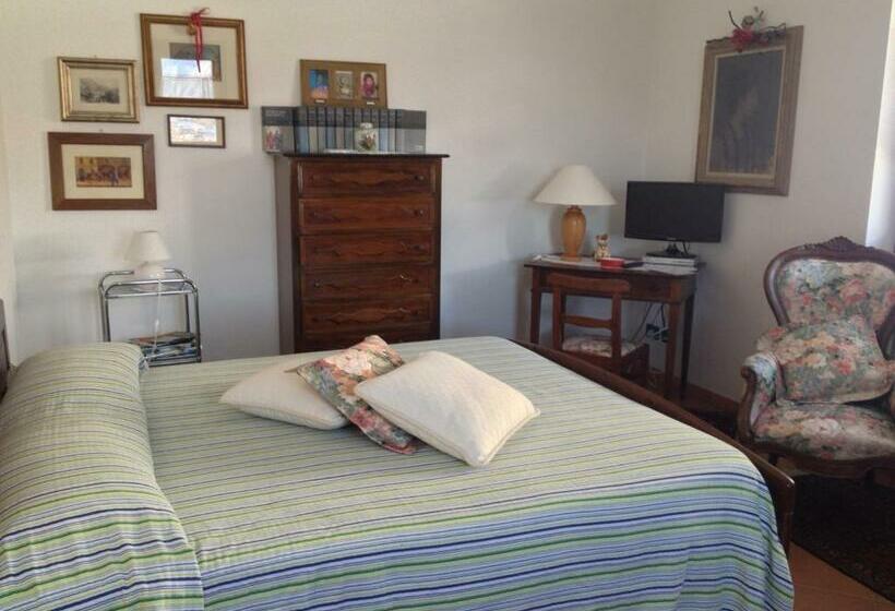 スタンダードルーム, B&b Scotty & Co