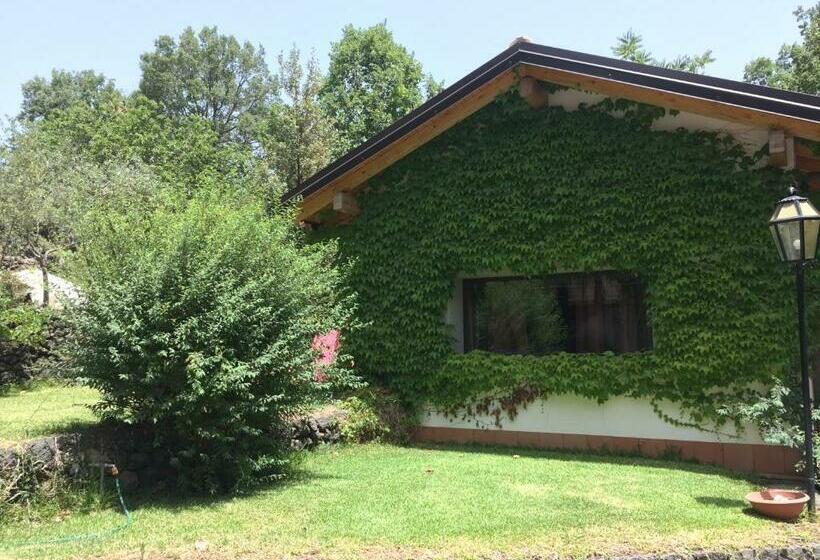 ガーデンビューのスタンダードワンルーム, Domus Verdiana