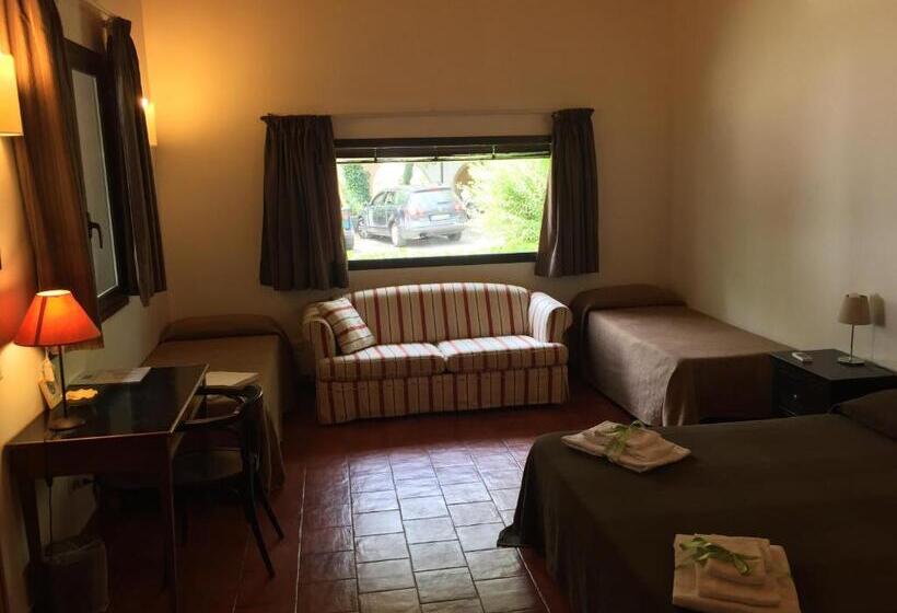 ガーデンビューのスタンダードワンルーム, Domus Verdiana