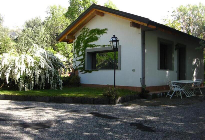 ガーデンビューのスタンダードワンルーム, Domus Verdiana