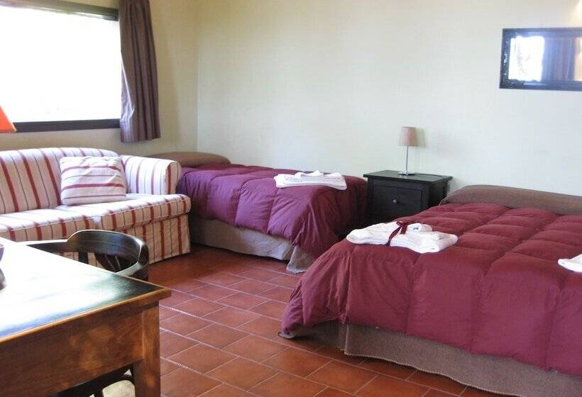 ガーデンビューのスタンダードワンルーム, Domus Verdiana