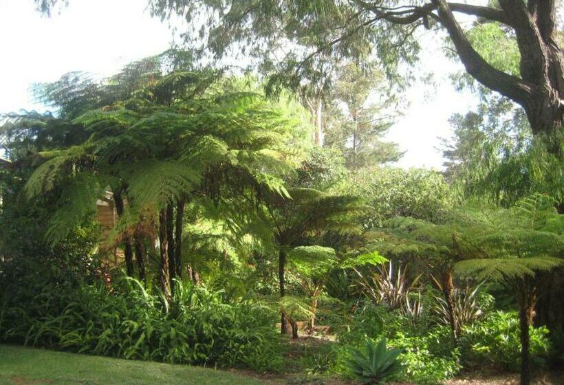 家庭间, Edge Of The Forest Motel