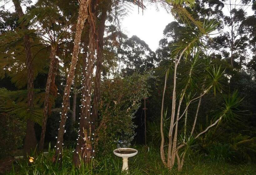 家庭间, Edge Of The Forest Motel