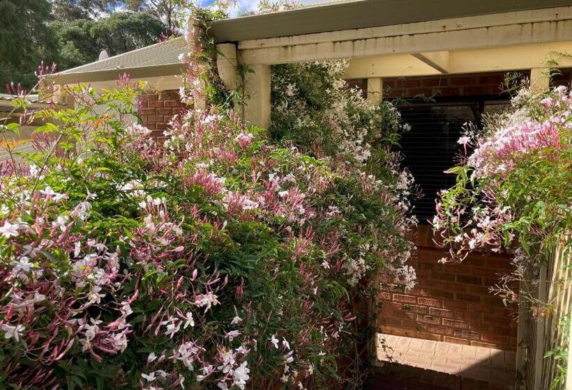 带大床的标准间, Edge Of The Forest Motel