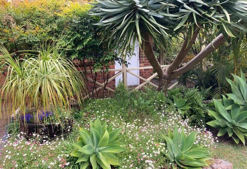 标准间, Edge Of The Forest Motel