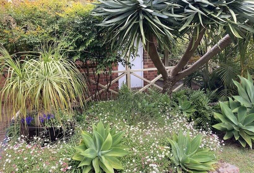 标准间, Edge Of The Forest Motel