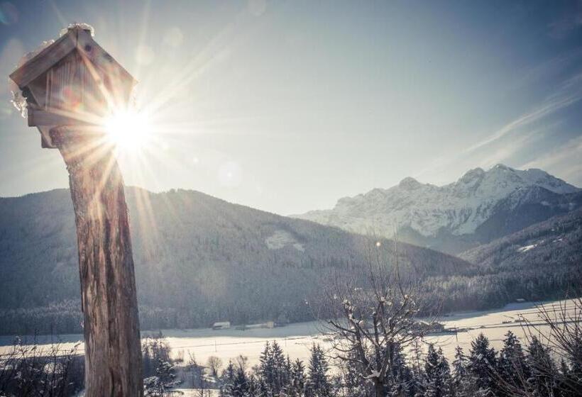 Люкс, Historic Hotel Alte Goste