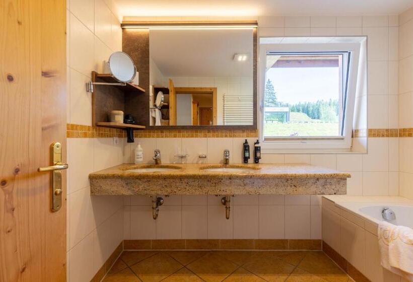 חדר קומפורט, Moseralm Dolomiti Spa Resort