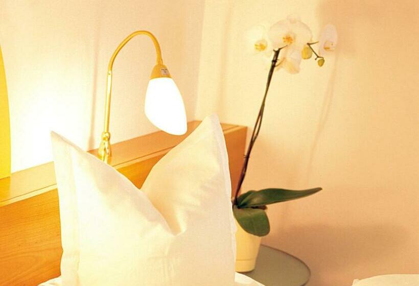 스탠다드 싱글 룸, Sonnenhof