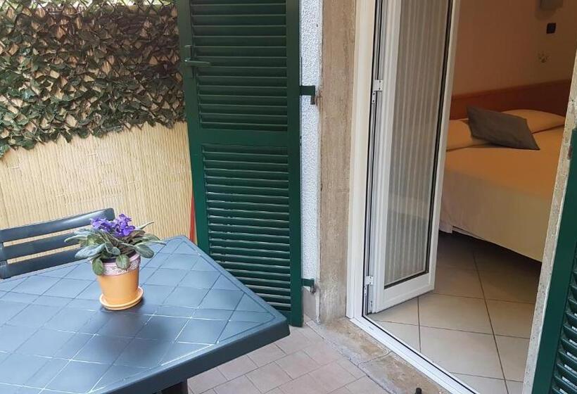 スタンダードルーム, Stella Marina