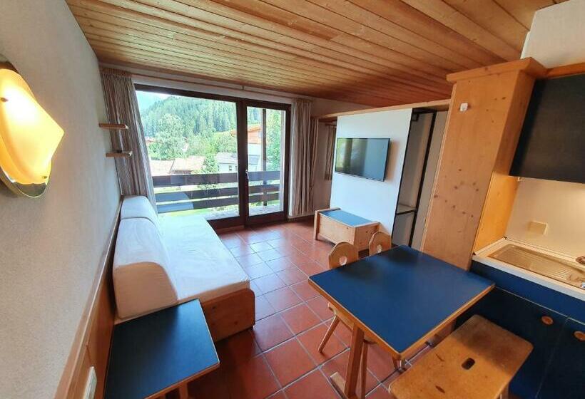 إستديو قياسى مزود بشرفة, Residence Silvester