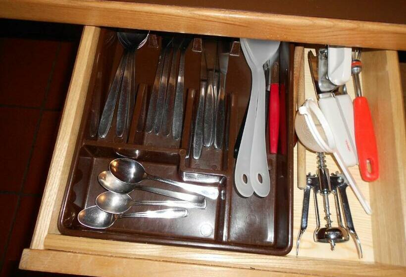 إستديو قياسى مزود بشرفة, Residence Silvester