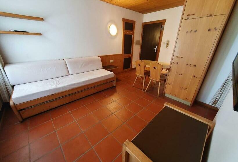 إستديو قياسى مزود بشرفة, Residence Silvester