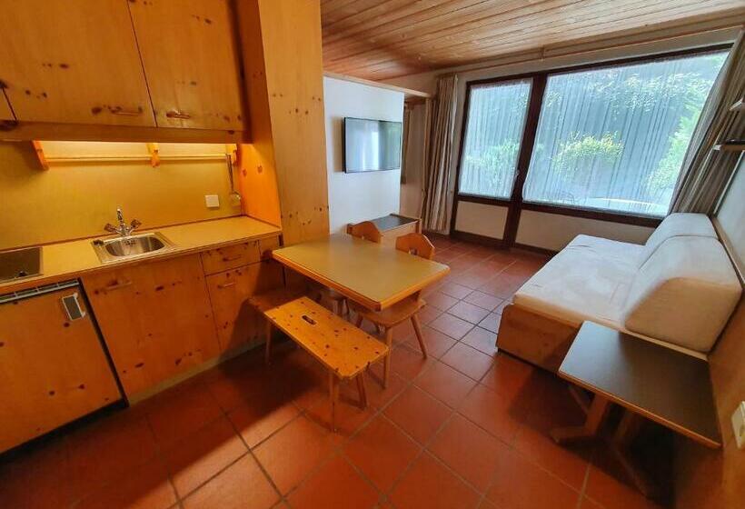 إستديو قياسى مزود بشرفة, Residence Silvester