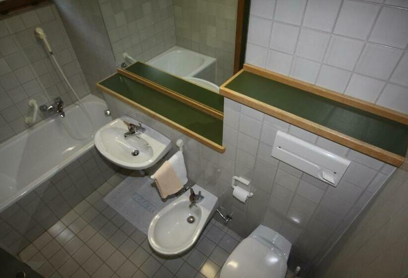 إستديو قياسى مزود بشرفة, Residence Silvester