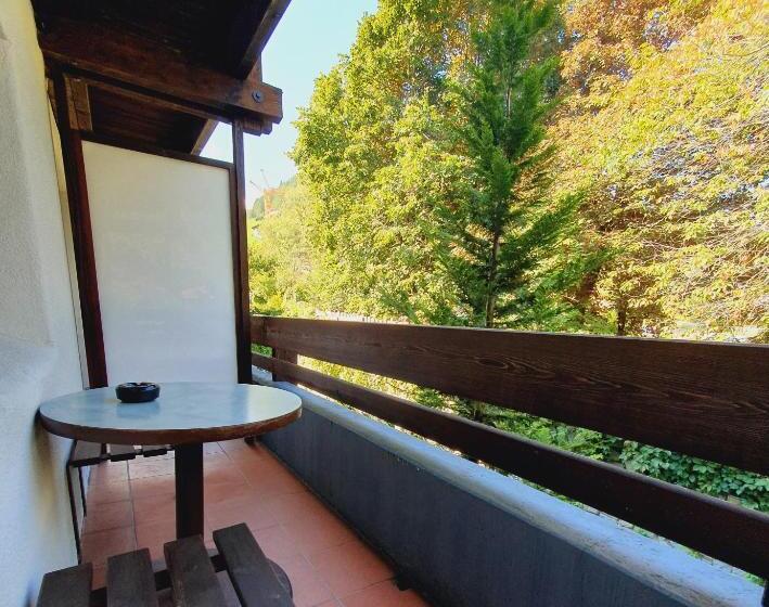 شقة غرفة نوم واحدة مزودة بشُرفة, Residence Silvester