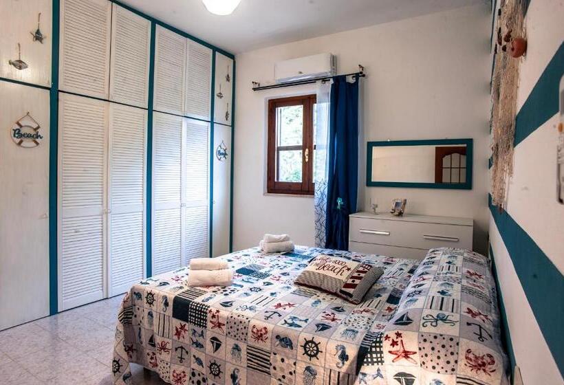 Standart Oda, Sardinia Del Sud