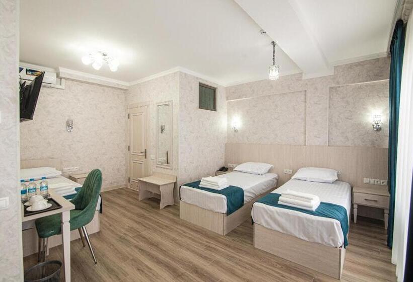 חדר סופריור לשלושה, Mercuri Meridian