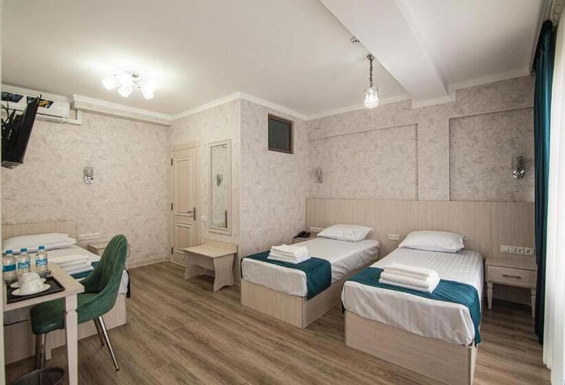 חדר סופריור לשלושה, Mercuri Meridian