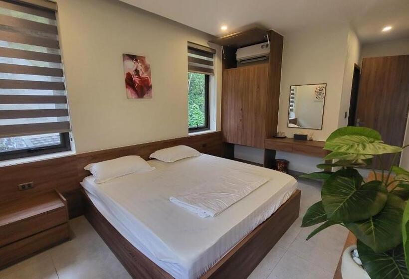 اتاق لوکس, Lotus Premium Lodge