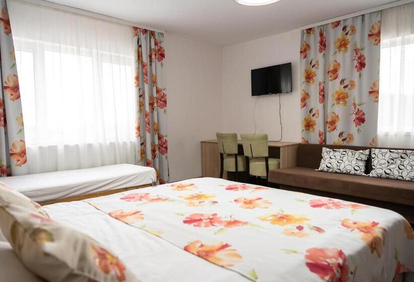 Номер Стандарт, Pensiunea Club Dioda