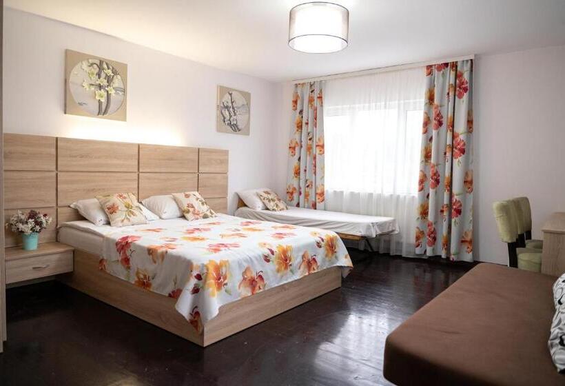 Номер Стандарт, Pensiunea Club Dioda