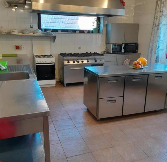 اتاق استاندارد, Pensiuneatano