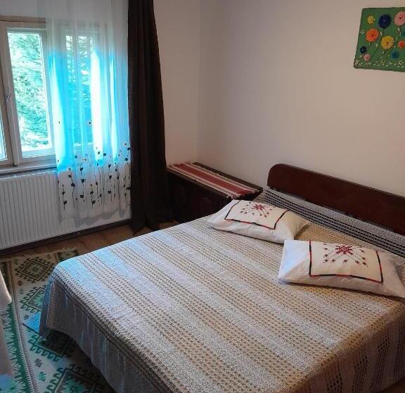 خانه 2 خوابه, Pensiuneatano