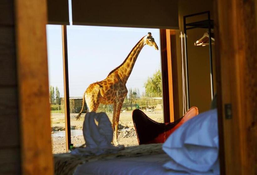 اتاق خانوادگی, Safari Lodge