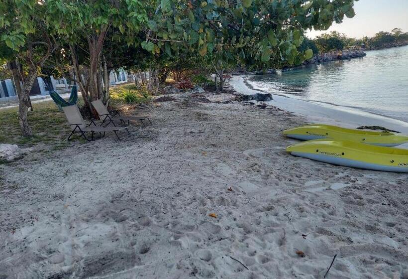 اتاق استاندارد با چشم‌انداز دریا, Humble Boy Retreat Storeroom Cabin