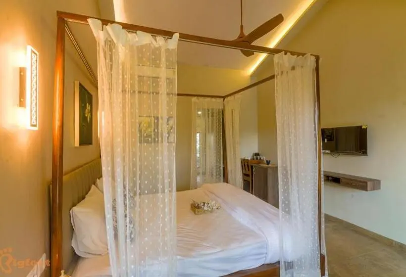 デラックスルーム, Jomo Resort