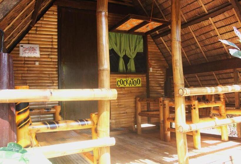 اتاق استاندارد با سرویس بهداشتی مشترک, Driftwood Village Resort