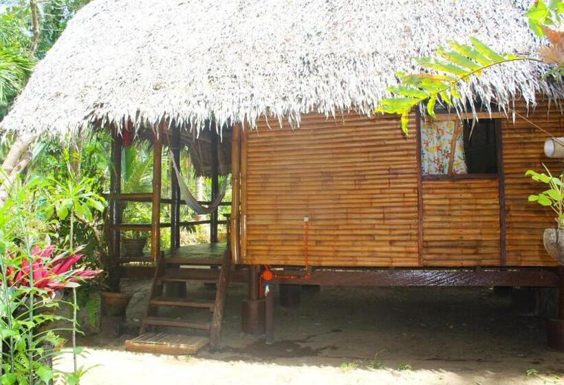 بانگلوی استاندارد, Driftwood Village Resort