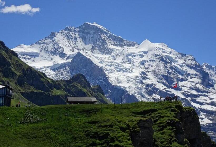 디럭스 룸 킹사이즈 침대, Chalet Alpina Gyger