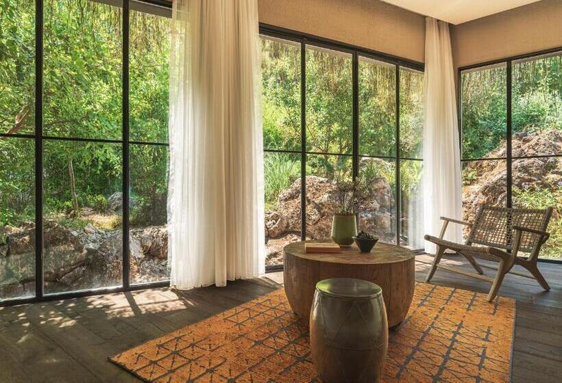 جناح, Yazz Collective