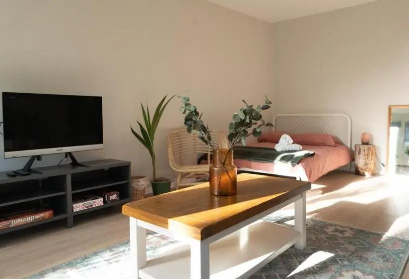 スタンダードルーム, Studio Cabin In Belfast