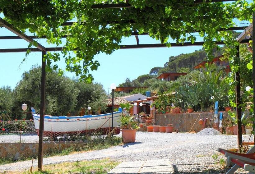 Pokój Standard, Mareblu