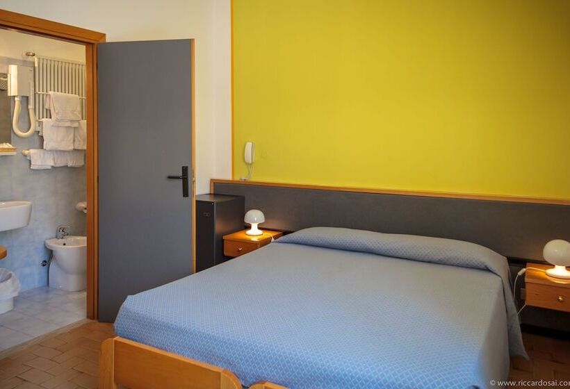 Номер Стандарт, Bermuda