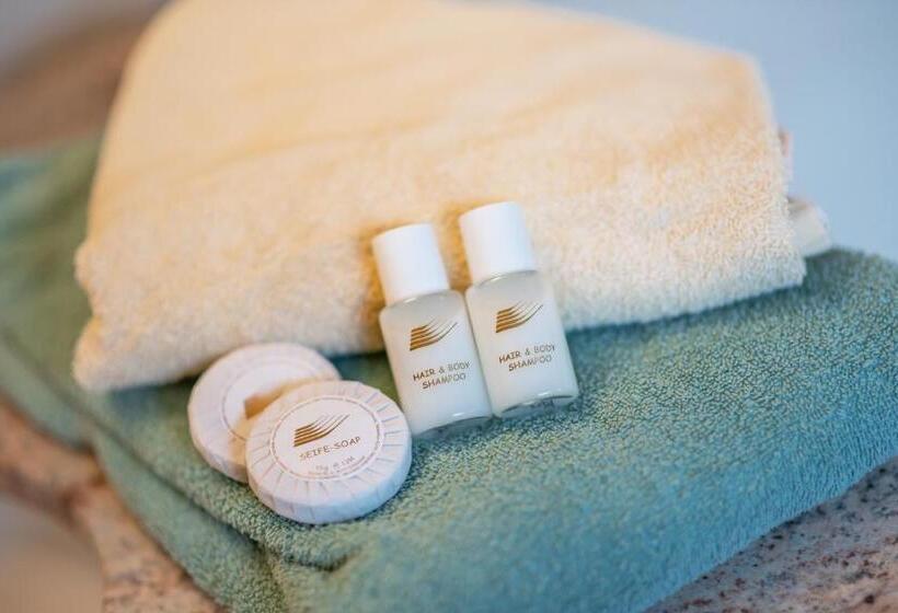 Номер Deluxe с Балконом, Theiner