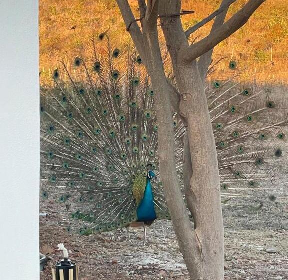 家庭洋房, Bungalow Gaviota C/vistas Increíbles Al Océano Pacífico
