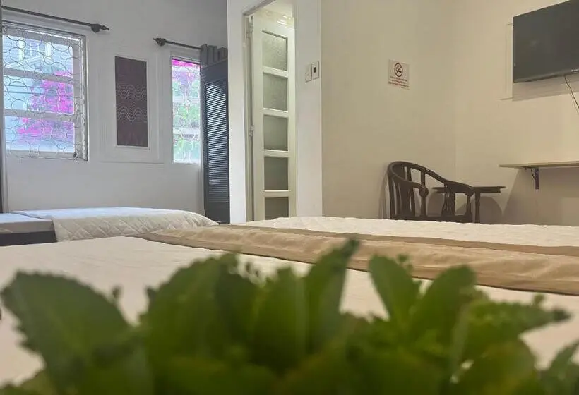 اتاق استاندارد چهار تخته, Nhật Vân 2