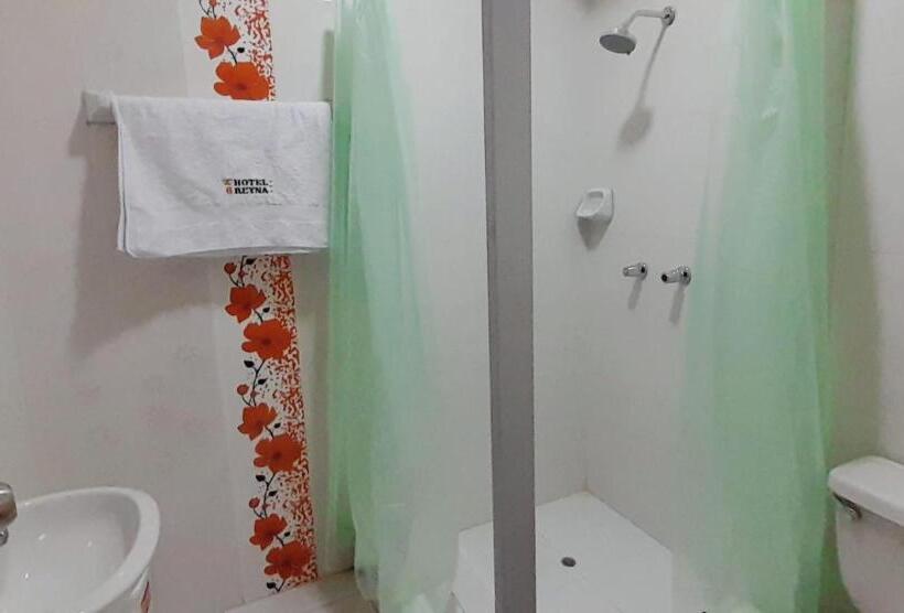 اتاق استاندارد یک تخته با سرویس بهداشتی مشترک, Reyna