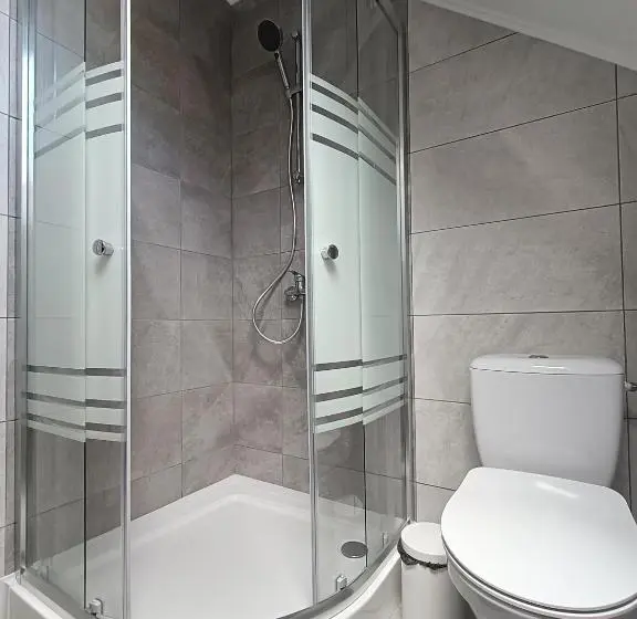 Standard-huone, Casa De Vacanță Zabpatak Vendégház
