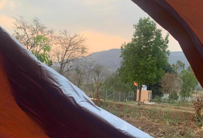 스탠다드 싱글 룸, Gokul Agro Camping Wai