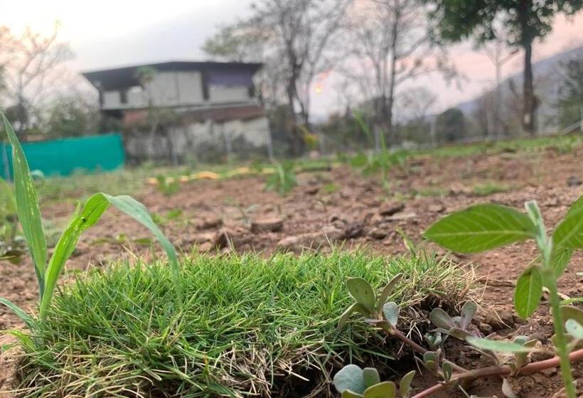 디럭스 룸, Gokul Agro Camping Wai