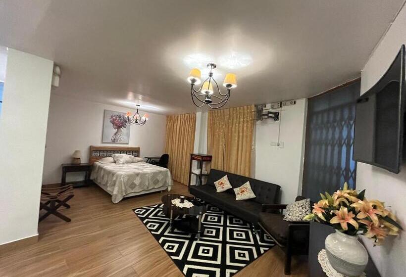 اتاق استاندارد, Mini Departamentos Miramar