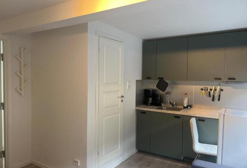 １階の１ベッドルームアパートメント, Trolltun, Frystevegen 4