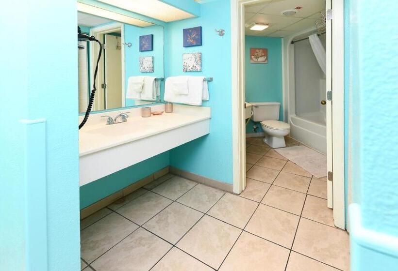 آپارتمان 1 خوابه با چشمانداز دریا, 441 Landmark Resort