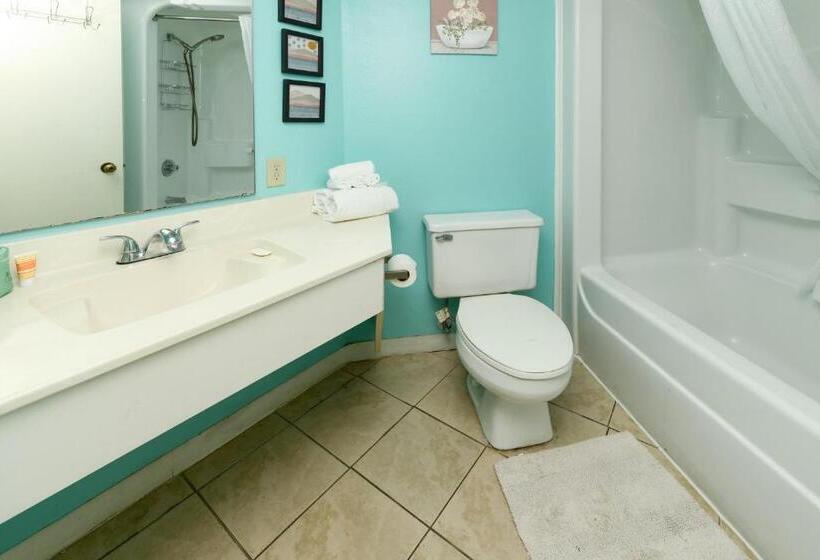 آپارتمان 1 خوابه با چشمانداز دریا, 441 Landmark Resort