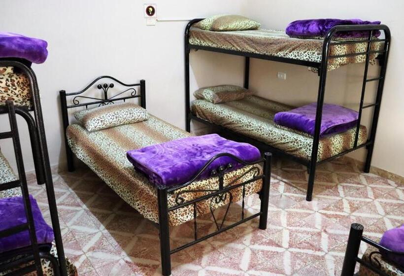 تختخواب در اتاق مشترک, House Of Peace